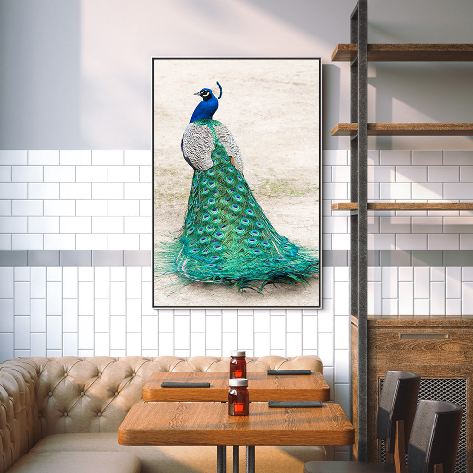 Eleganter Pfau im Rock – Leinwandbild