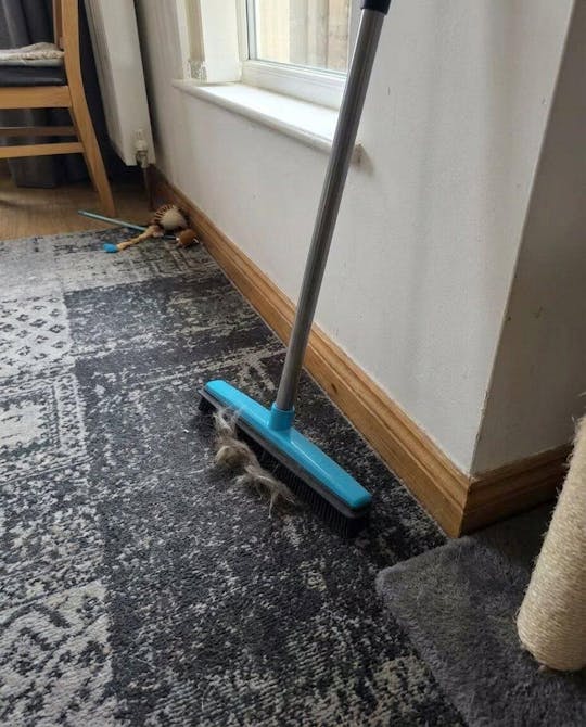 Tierhaareentferner Besen mit Teleskopstiel | Karnz