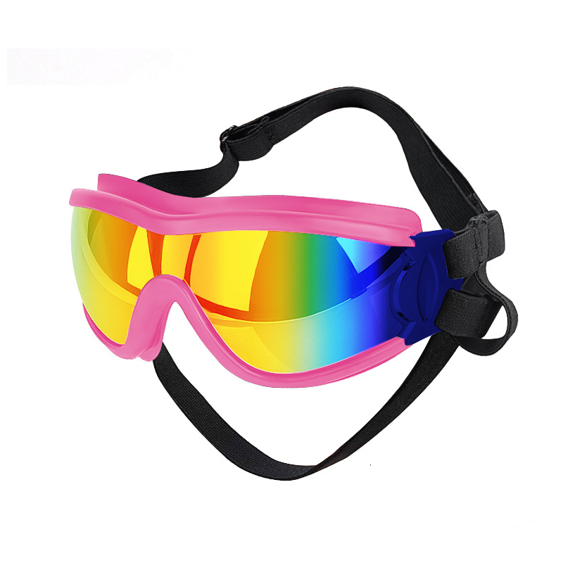 Outdoor-Schutzbrille für Hunde