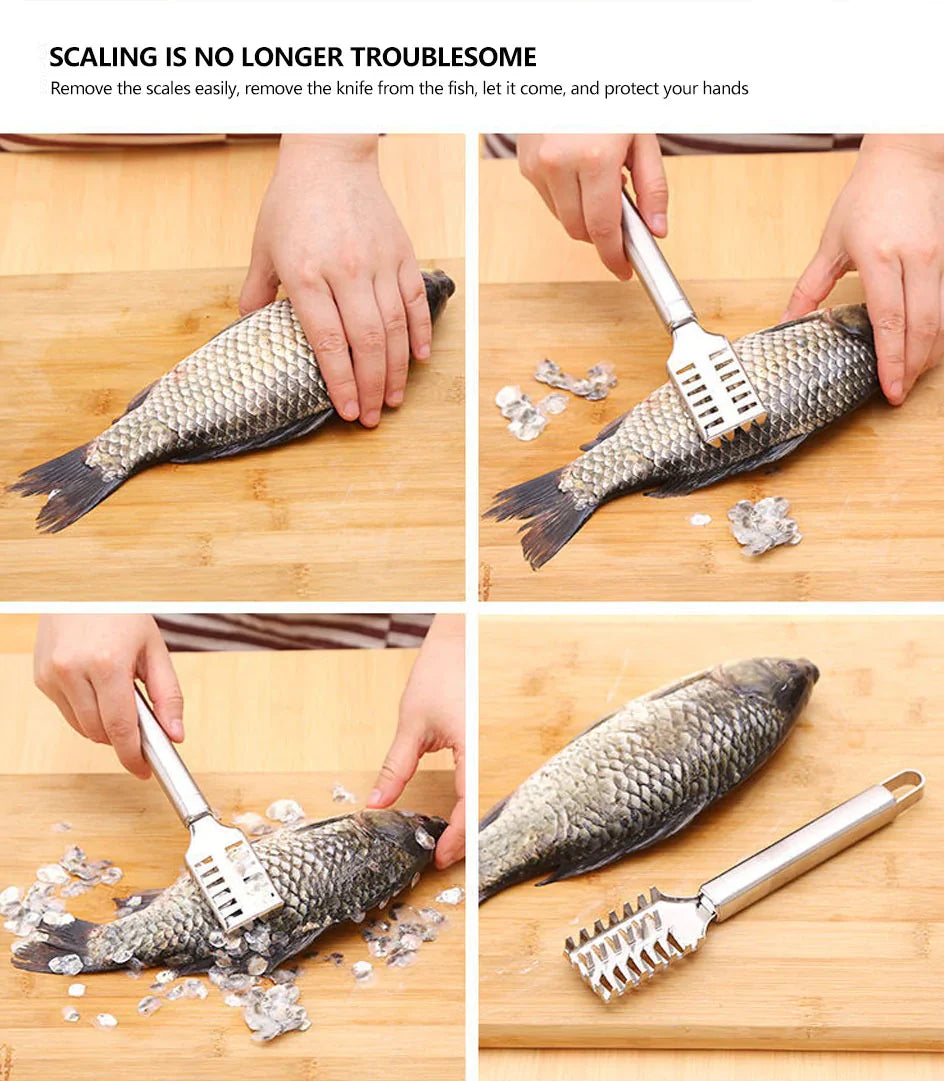 Fischschuppenentferner Edelstahl Karnz