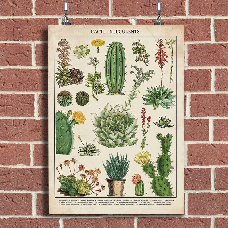 Kaktus Pflanzen - Leinwand Wandkunst Gemälde