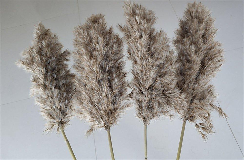 60 cm natürlich, echt, braun-beige getrockneter Pampasgrasstrauß │ flauschige Feder für moderne Boho-Haushaltsdekoration