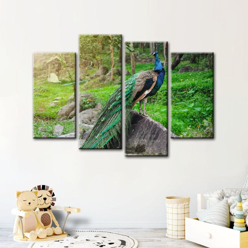4 Stück Würdevoller Sonnenlicht-Pfau - Leinwand Wandkunst Gemälde