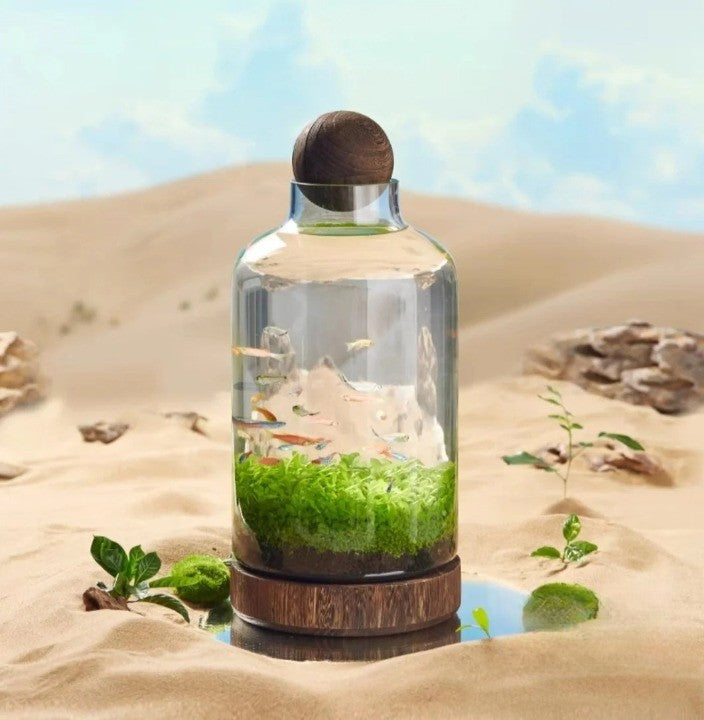 Micro Aquarium Kompakt Glas Ökologischer Fischtank