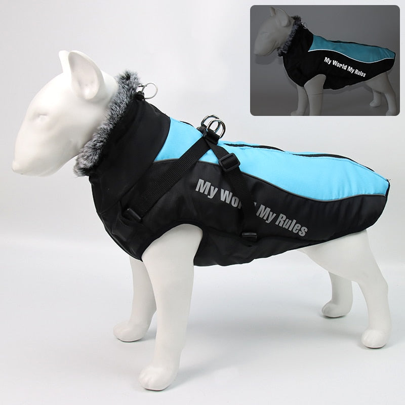 Karnz | Wasserdichte Winterhundejacken