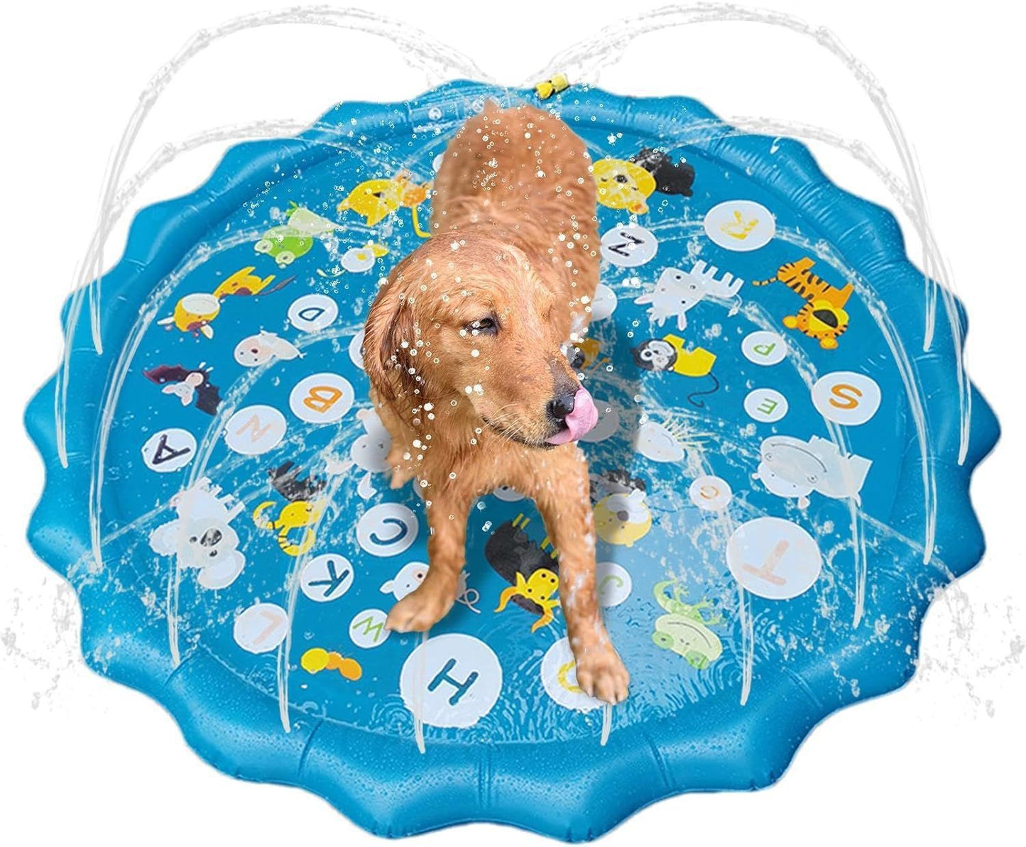 Wasserfunktionsspielzeug Karnz