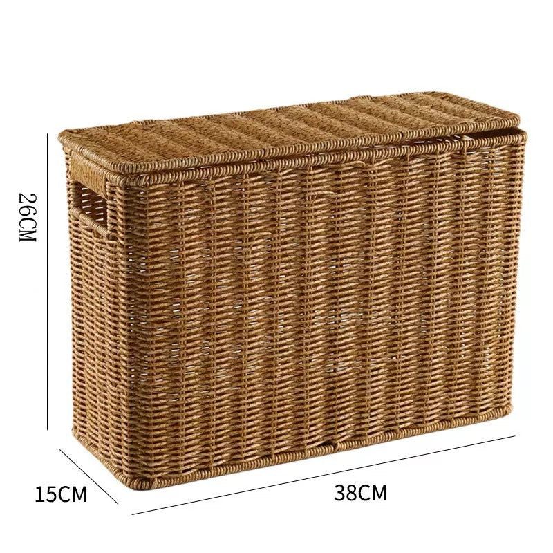 Unisex dekorative Rattan Aufbewahrungskiste Karnz