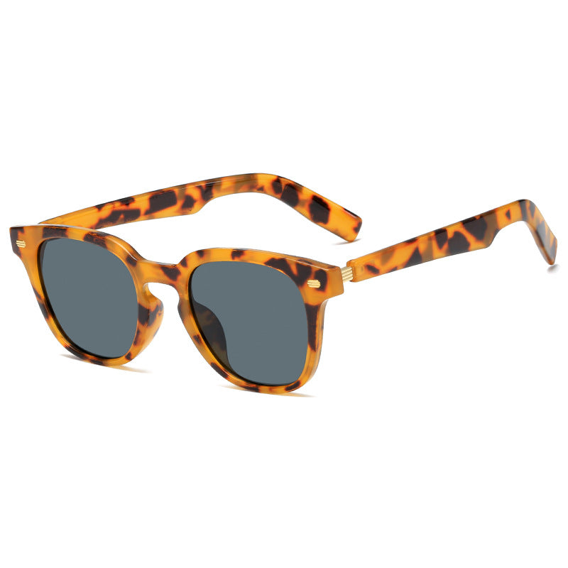 Damen modische Korrektionsbrille mit elegantem Kunststoffrahmen und goldenen Akzenten Karnz
