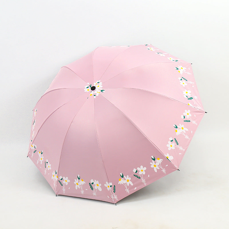 Damen Regenschirm Karnz
