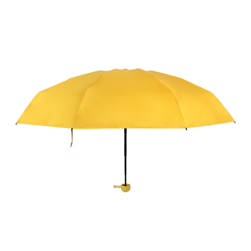 Damen Winddichter Regenschirm Karnz