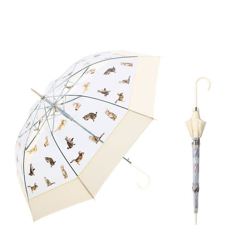 Damen Regenschirm Karnz