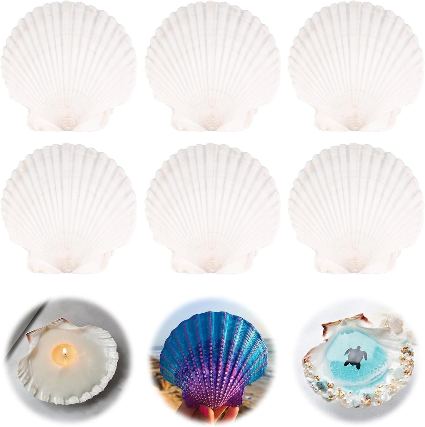 Unisex Kreatives Bastelset mit Muscheln und Farben Karnz