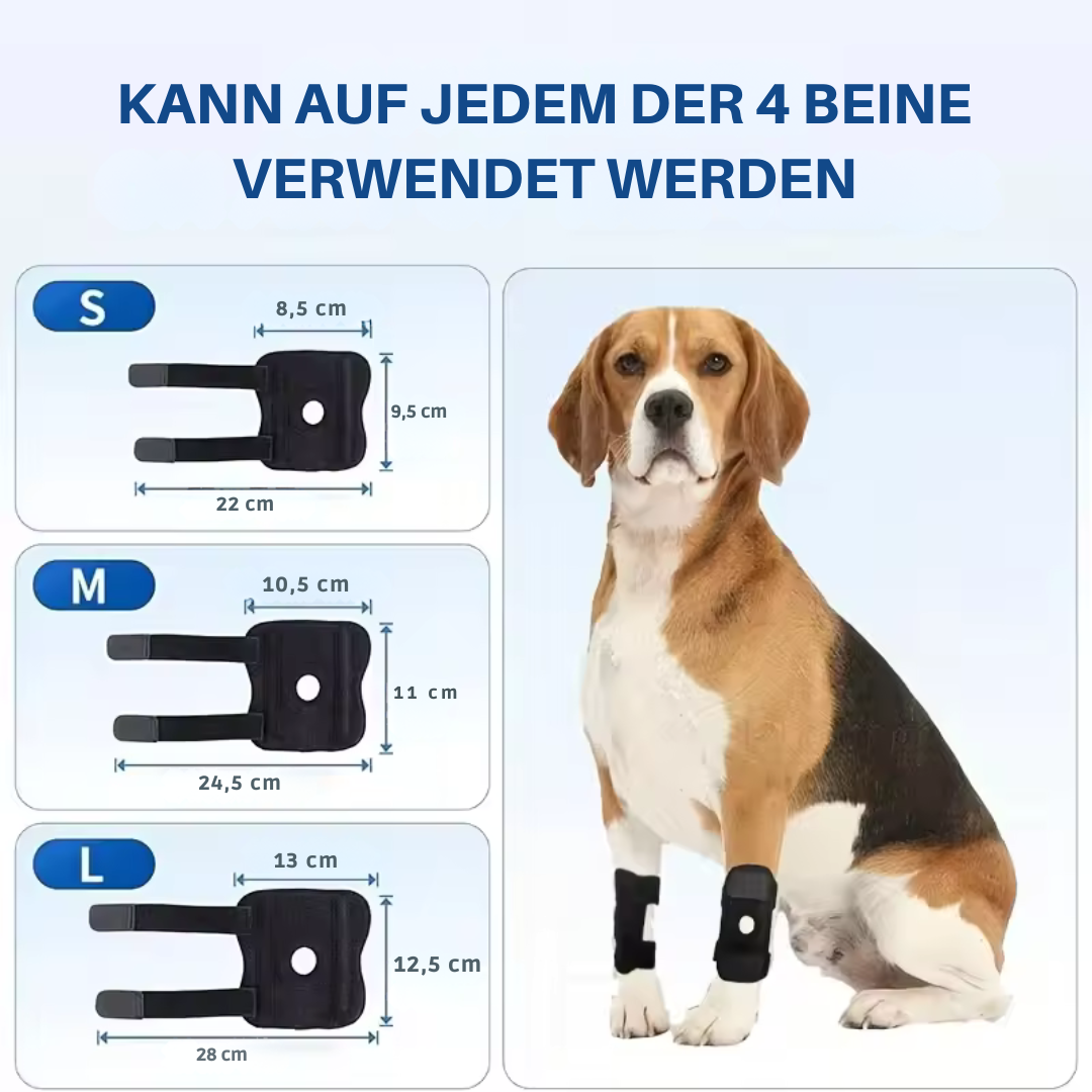 Orthopädische Gelenkstütze für Hunde stabilisierender Karnz