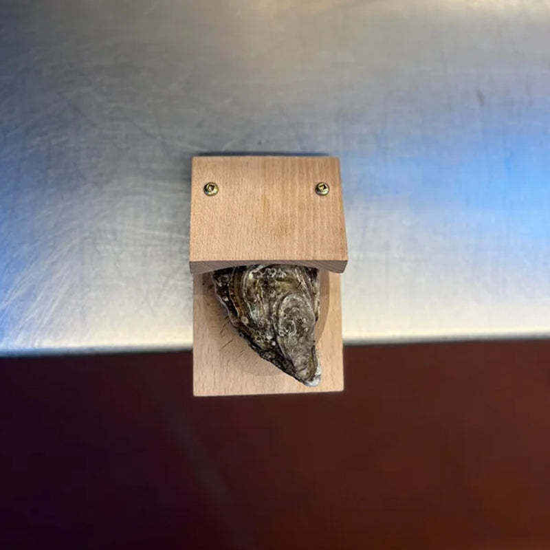 Premium Holzgriff Austernschalenöffner Zange
