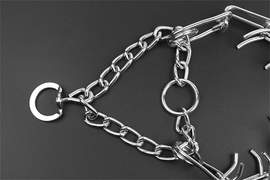 Dog Pincher Halsband - Stylisch B