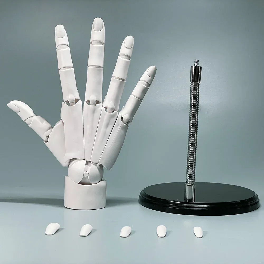Multi-Pose Zeichnen Modellieren Kunst Handmodell
