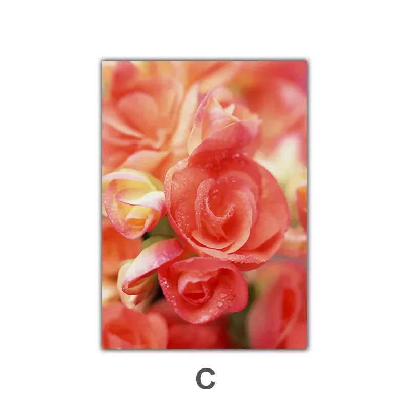 Rosa rote Rosen florale Wandkunst Feine Kunst Leinwanddrucke Moderne botanische Poster Bilder für Wohnzimmer, Schlafzimmer Kunst Dekor | Karnz