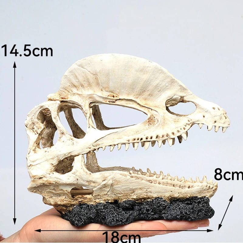 Tiere Schädel Fisch Tank Fossil Dinosaurier Ornamente Aquarium Nashorn Knochen Dekoration Fischschüssel Krokodil Quallen Karpfen Schildkröte | Karnz