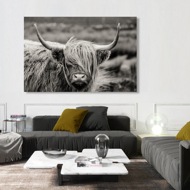 Schottisches Hochlandrind, Kuh, Yak – Tierposter, Wandbild – Leinwandbild