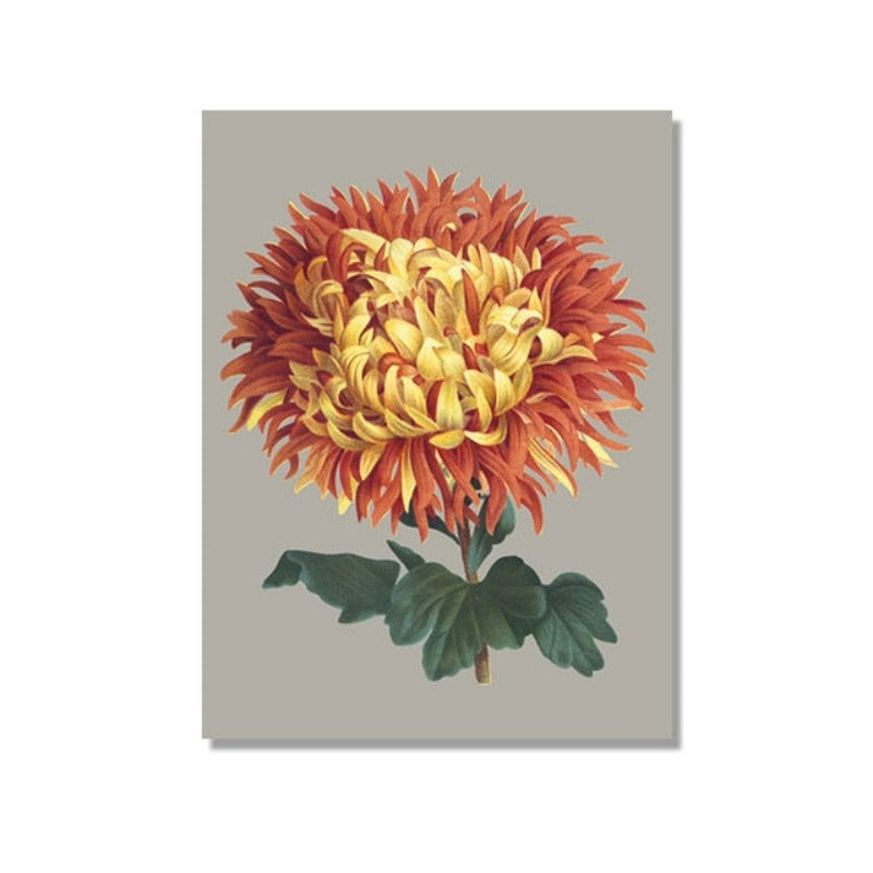 Schönes Chrysanthemen-Blumenbild – Leinwandbild