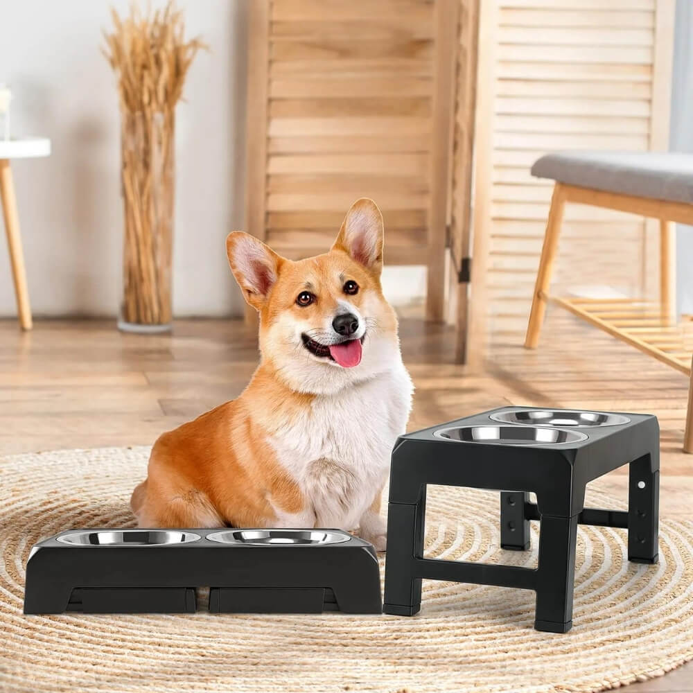 PupLift Erhöhter Fressnapf für Hunde – Ergonomisch & langsames Fressen für gesunde Mahlzeiten | Karnz