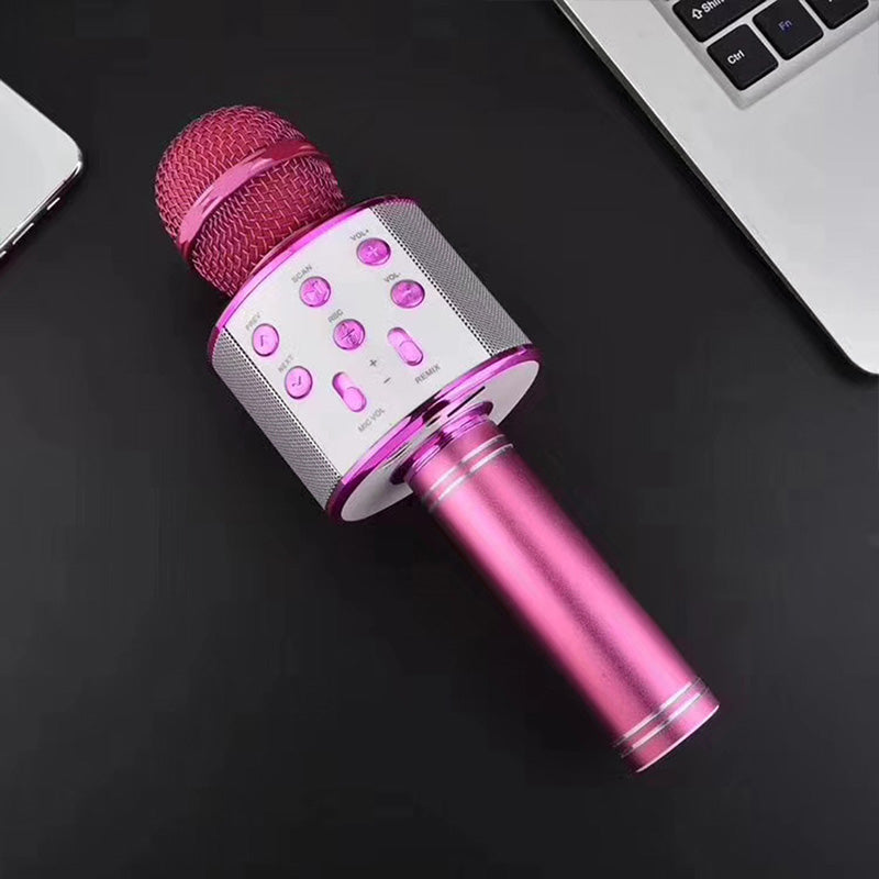 Kabelloses Karaoke-Mikrofon mit Bluetooth | Karnz