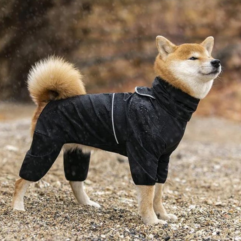 StormGuard • Hund wasserdichte Regenjacke