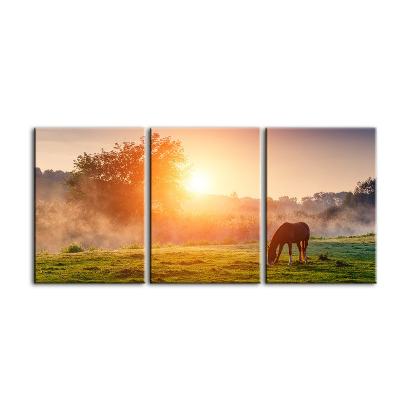 Sonnenaufgang grasendes Pferd – Leinwandbild, 3-teilig