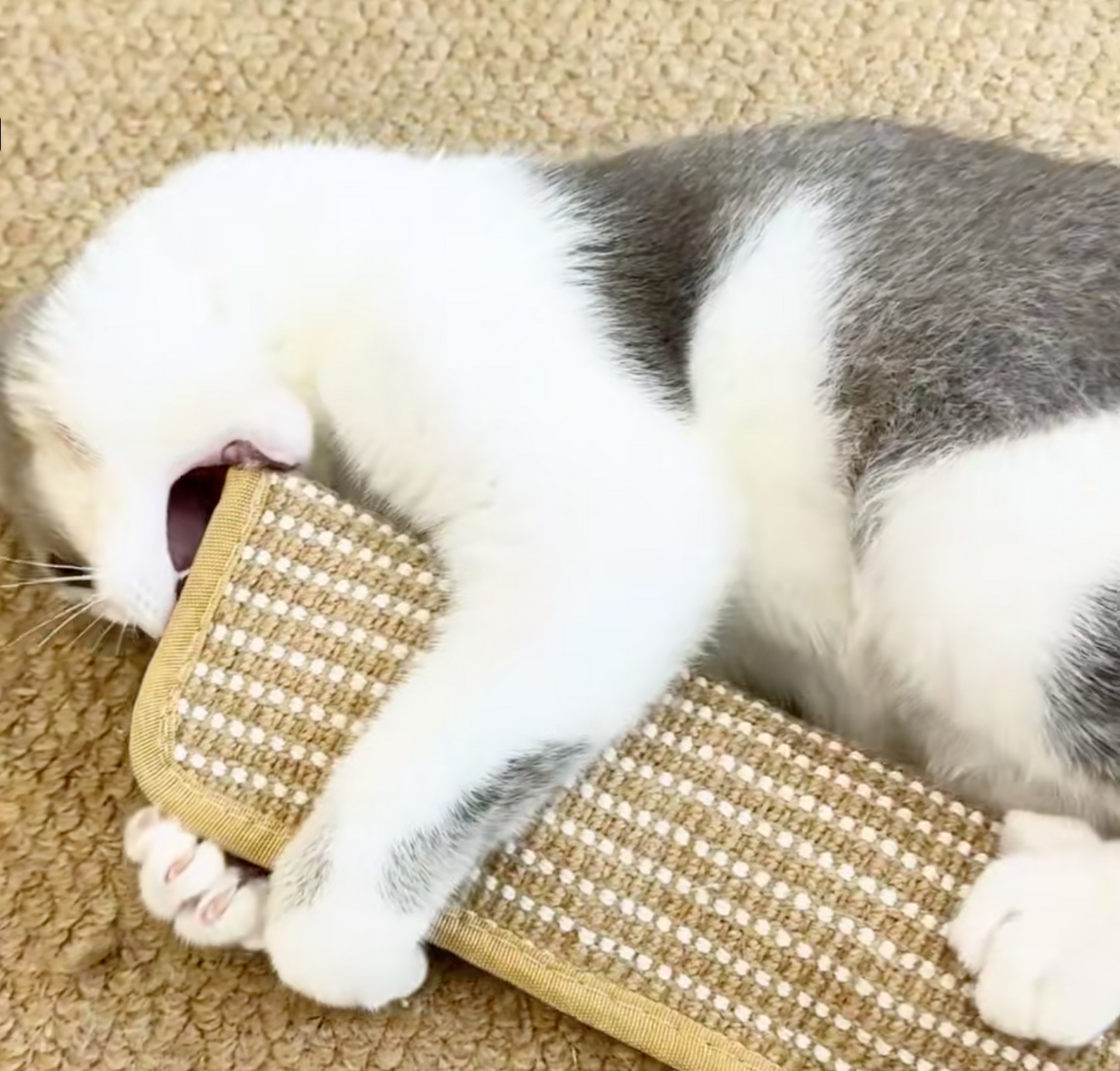 Krallex® — Entfessle das wilde Jagdfieber deiner Katze für stundenlangen Spielspaß und gesunde Zähne | Karnz