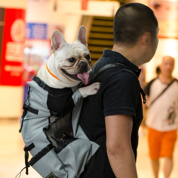 Karnz Hundereise-Rucksack