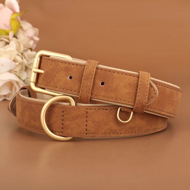 Karnz Pup Halsband