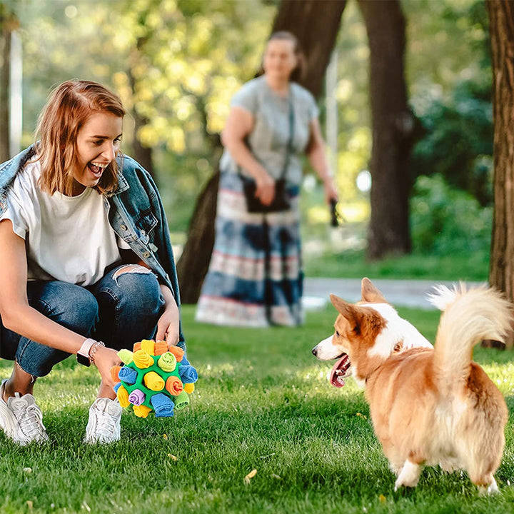 Sniffle Ball für Haustiere | Karnz