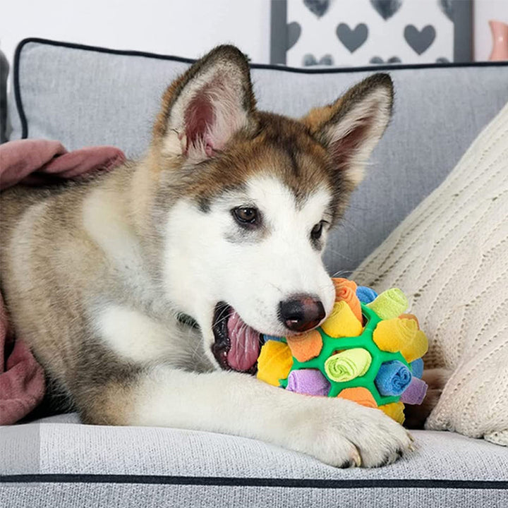 Sniffle Ball für Haustiere | Karnz