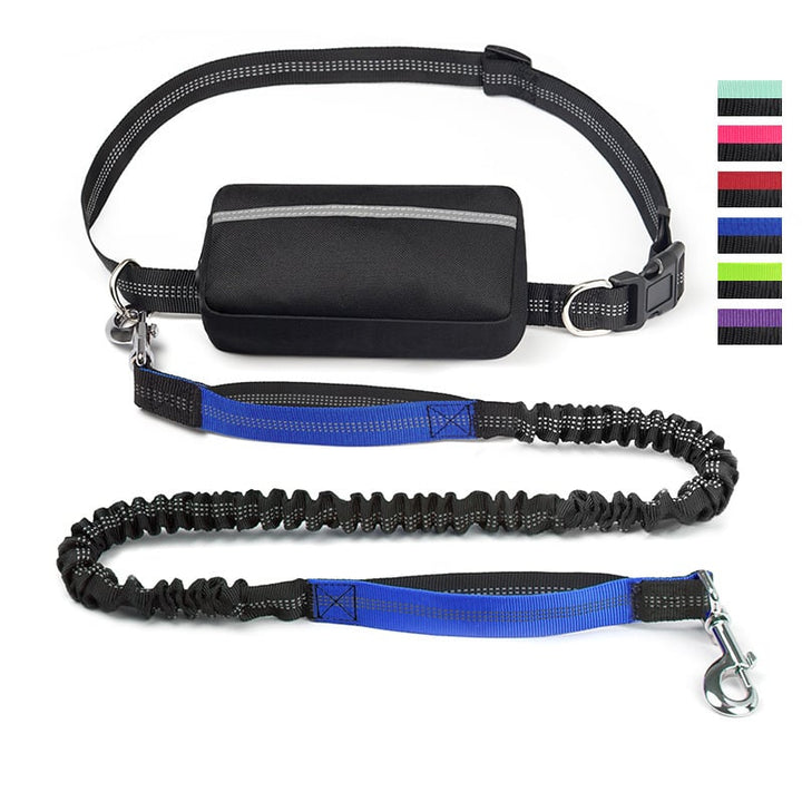 FlowLeash — Erleben Sie sanfte Kontrolle und entspannte Gassirunden ohne Rucke! | Karnz