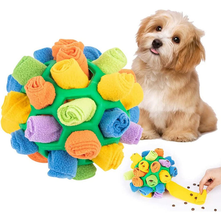 Sniffle Ball für Haustiere | Karnz