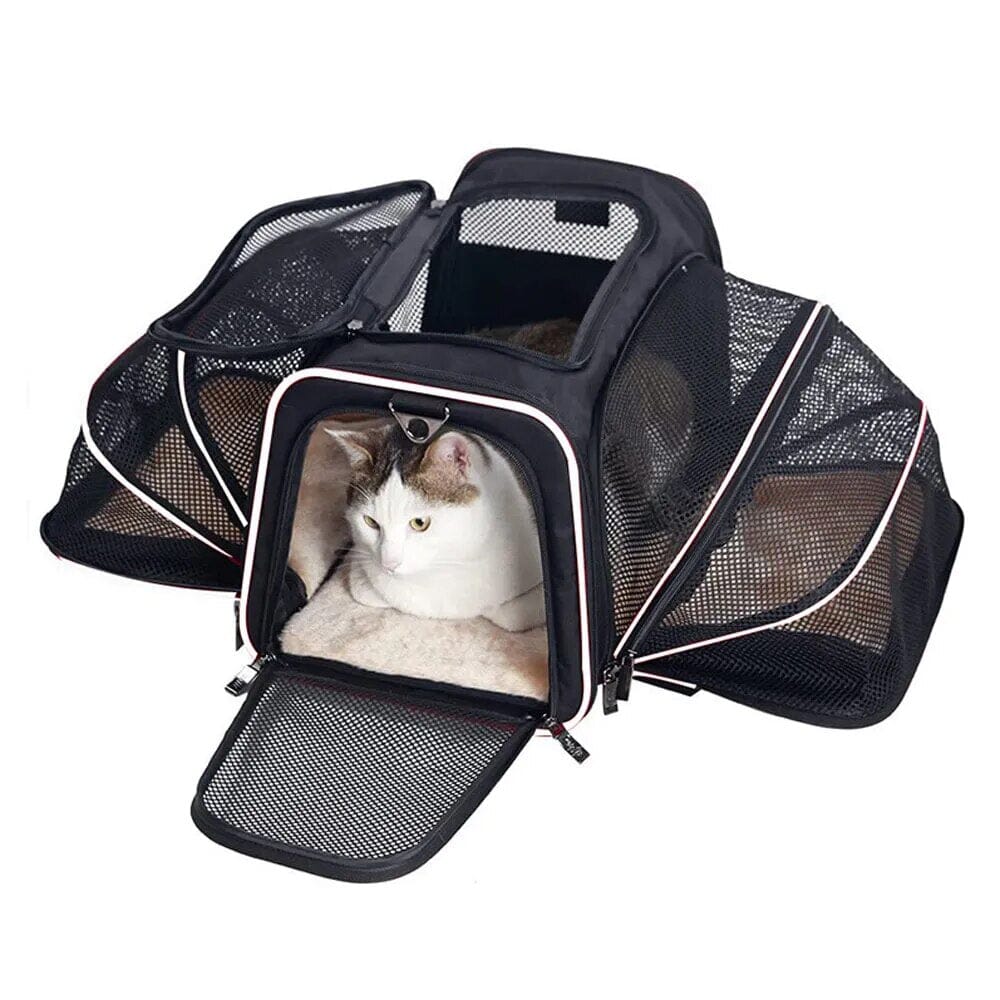 Karnz Reisetasche