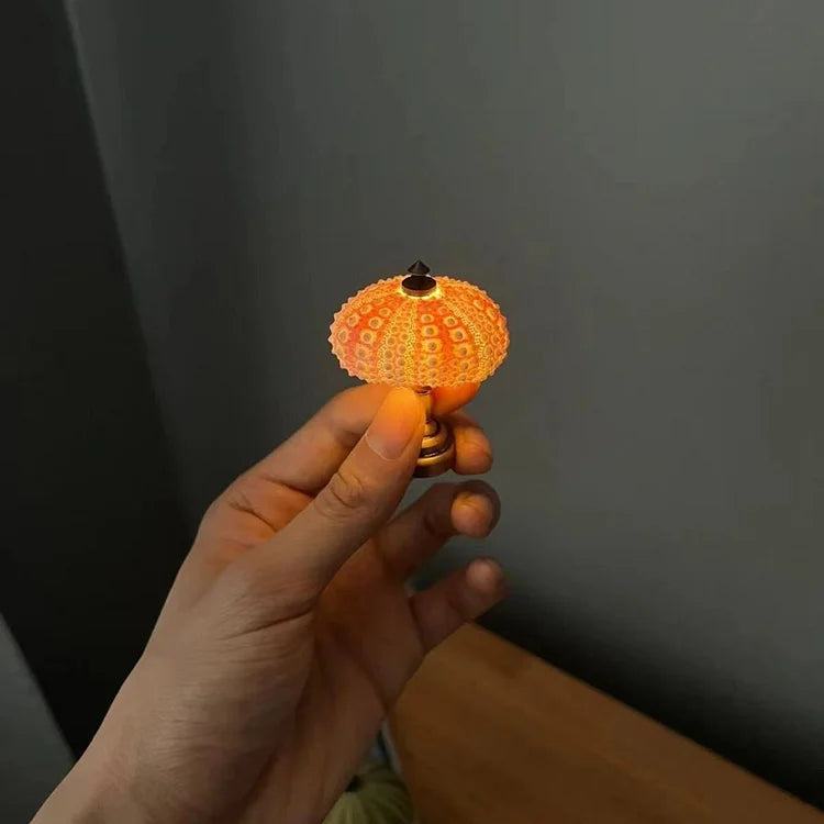 LumiCraft – Einzigartige DIY-Tischlampe mit natürlicher Muschel für ein gemütliches Ambiente