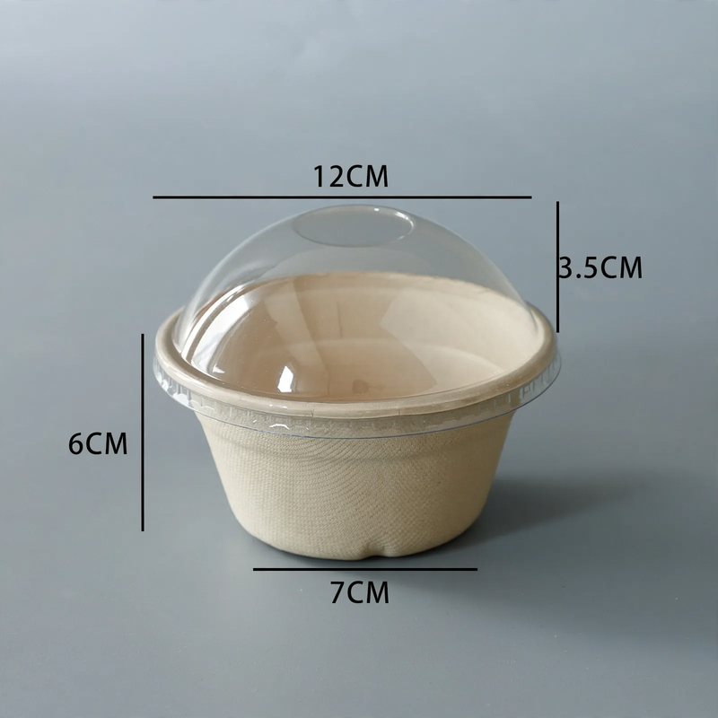 Einweg-Papierbehälter, biologisch abbaubar