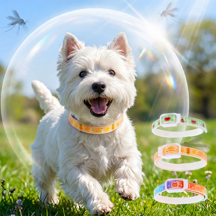 Verstellbares Halsband mit Fruchtmuster für Hunde