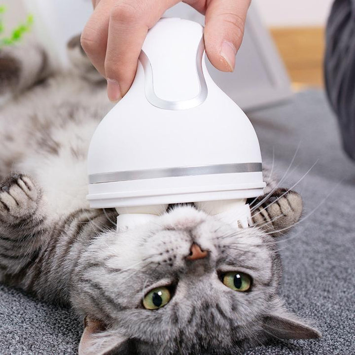 Elektrischer Katzenmassager | Karnz