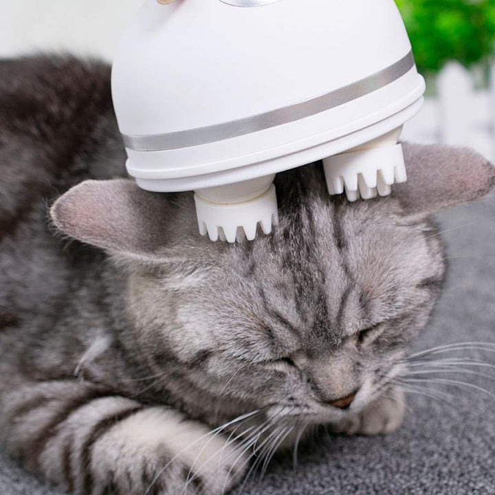 Elektrischer Katzenmassager | Karnz