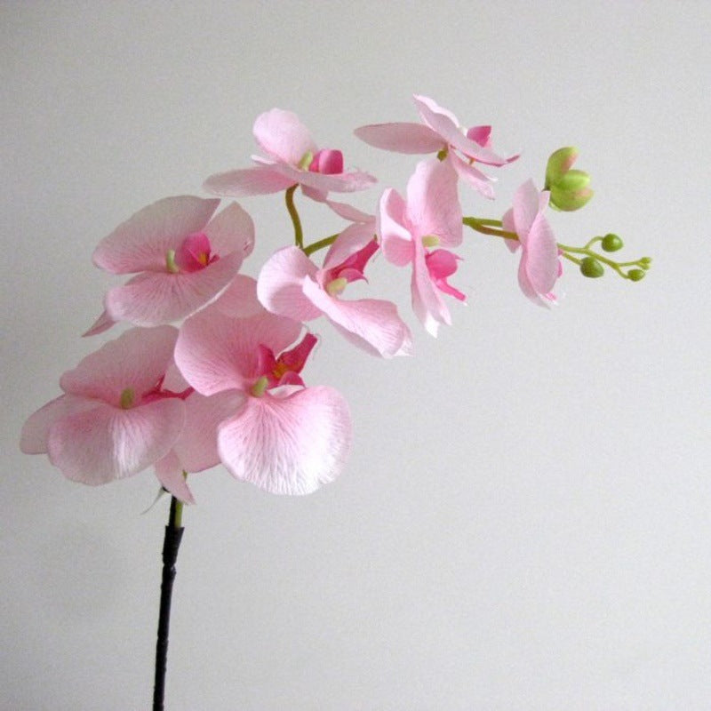 Realistische dekorative Orchideenstängel