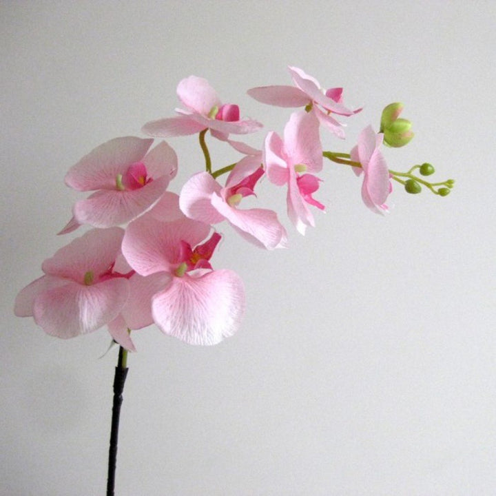 Realistische dekorative Orchideenstängel
