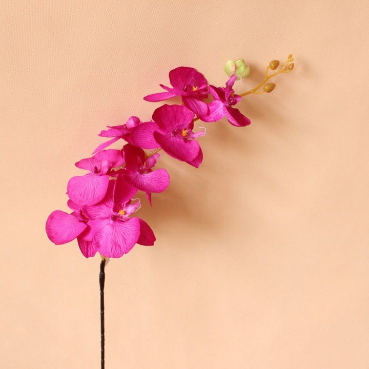Realistische dekorative Orchideenstängel