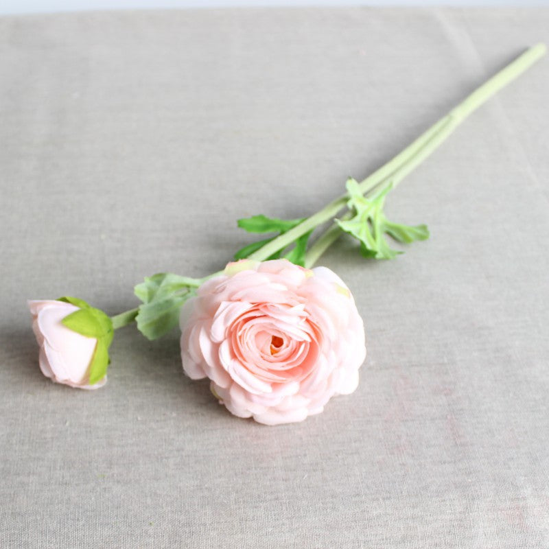 Realistische Florale Ranunkelstab