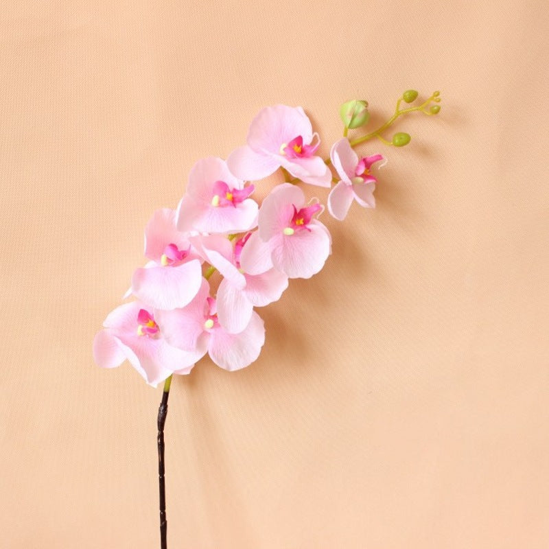 Realistische dekorative Orchideenstängel