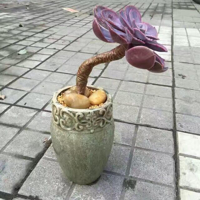 Heimische Blumenvase Karnz