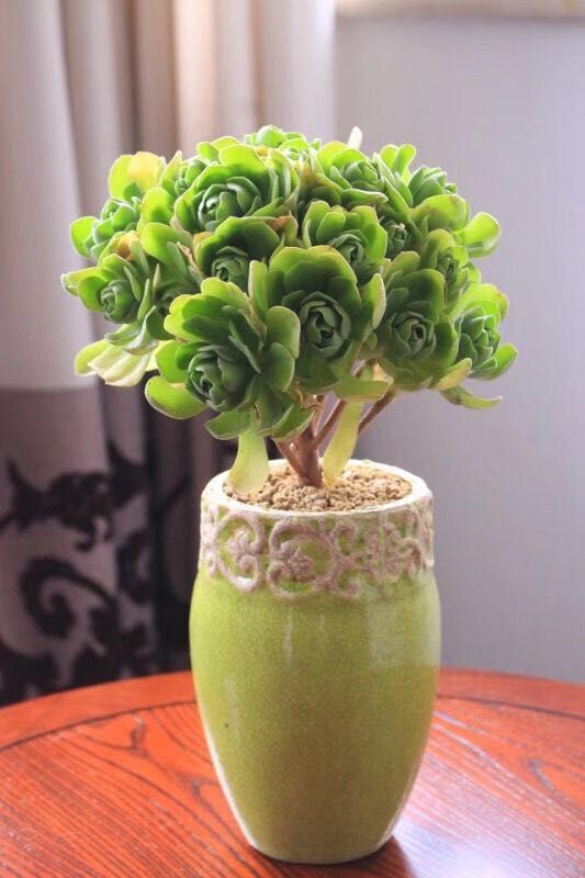 Heimische Blumenvase Karnz