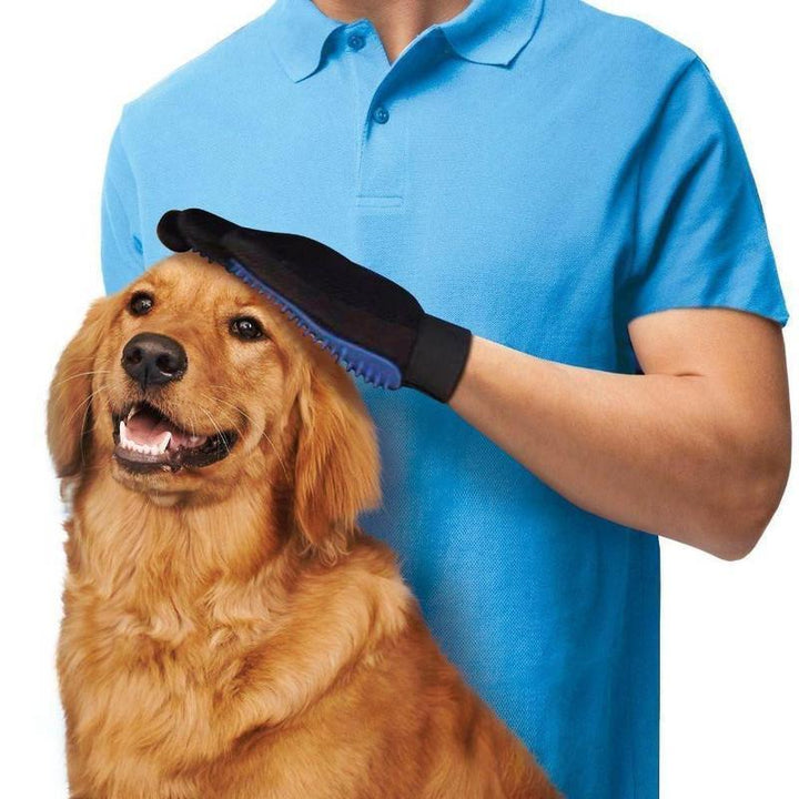 Haushund Reinigungs Handschuhe | Karnz