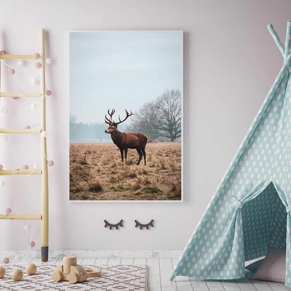 Majestätischer Hirsch in der Ebene - Leinwandbild